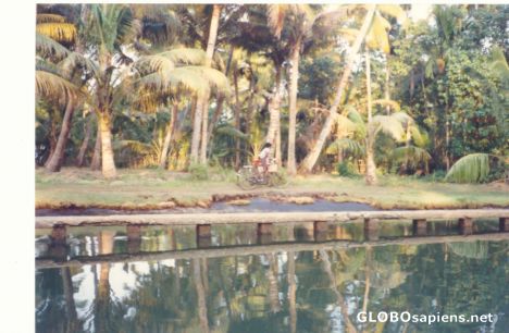 Postcard Backwaters in Kerala
