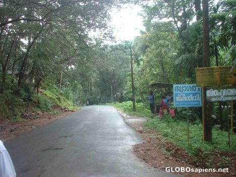 Postcard The forest road to Windy's mountain near Kozhikode