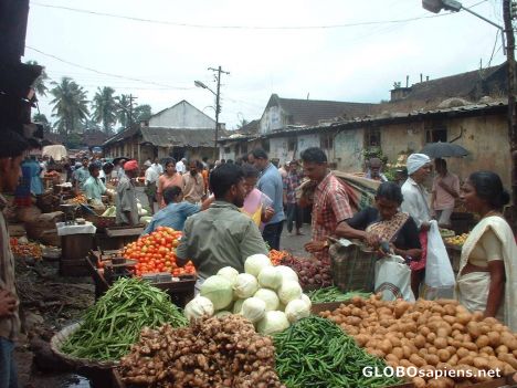 Postcard An action packed fruit and veg market, Kozhikode!