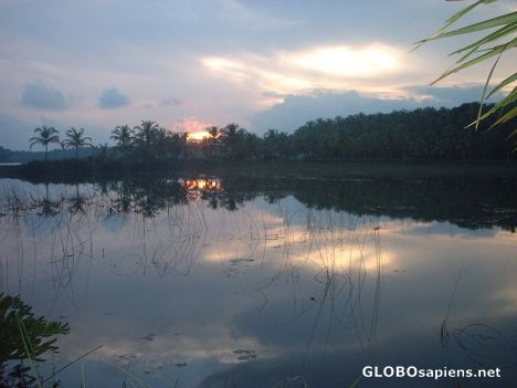 Postcard Kerala backwaters at dusk near Kozhikode again!