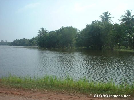 Postcard Backwaters around rural Alappuzha, central Kerala