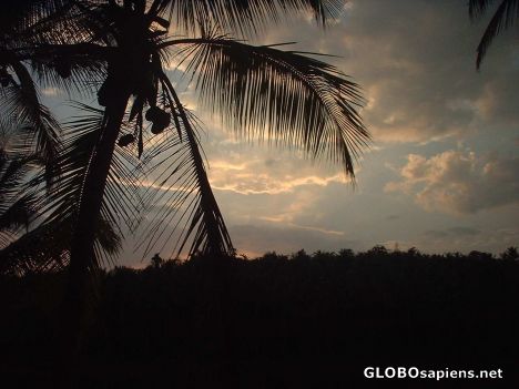 Postcard Evening sky over rural Kozhikode, Kerala, India
