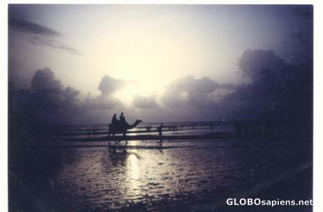 Postcard Romantic beach in Bombay