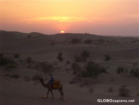 Postcard Sunset in the Thar desert