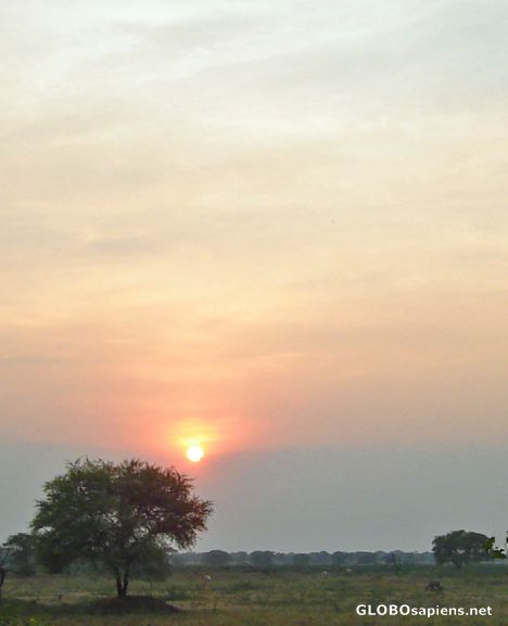 Postcard Sunset at Bharatpur Bird Sanctuary