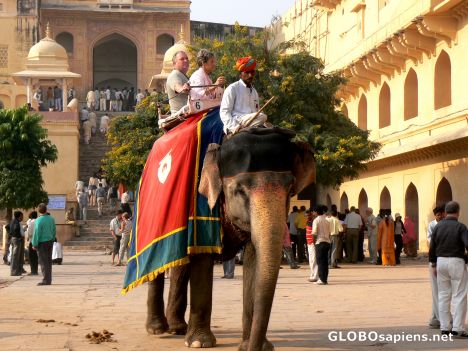 Postcard Elephant rides