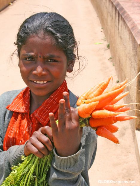 Postcard Carrot seller
