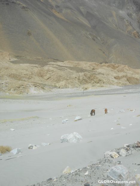 Postcard White sand bed in the route to Pangong
