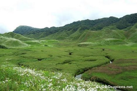 Postcard Dzukou Valley in Nagaland