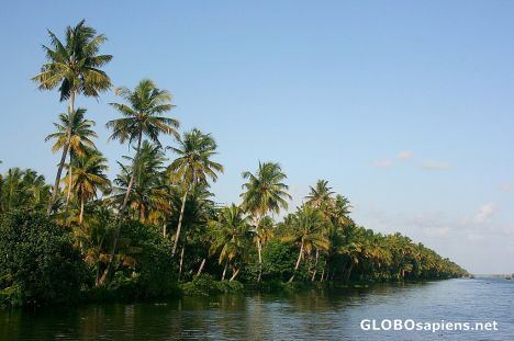 Postcard Backwater scene in Kerala