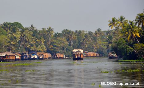 Postcard Kerala Backwaters Houseboats
