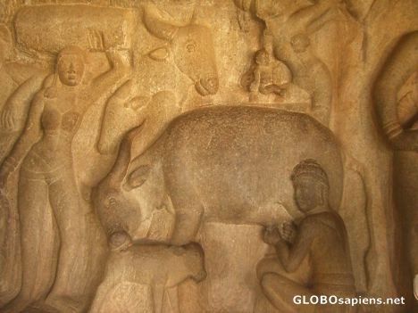 Postcard Mahabalipuram 1- rock art from the 7th century AD