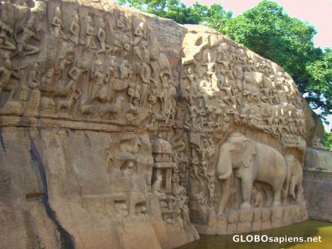 Postcard Mahabalipuram 6- one of the largest bas reliefs -1