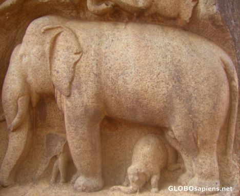 Postcard Mahabalipuram 10 - rock art from 7th century