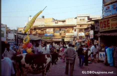 Postcard N. Delhi Main Bazaar