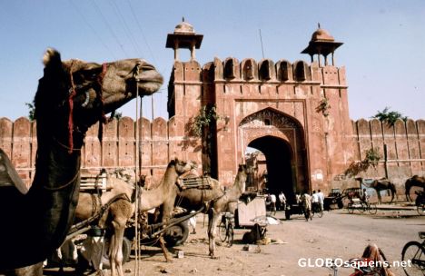 Postcard Jaipur, City-gate