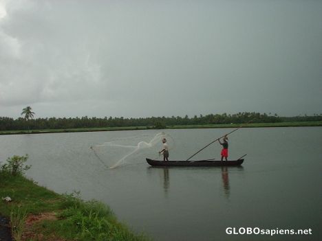 Postcard Fishing in Kochi backwaters