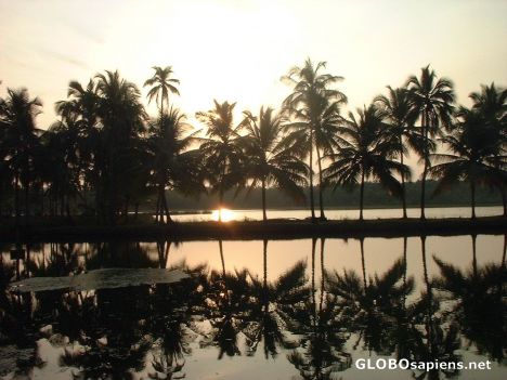 Postcard sunset at Keralan backwaters