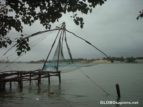 Postcard Kerala backwaters near Kochi
