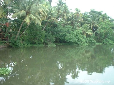 Postcard Backwaters of Kerala