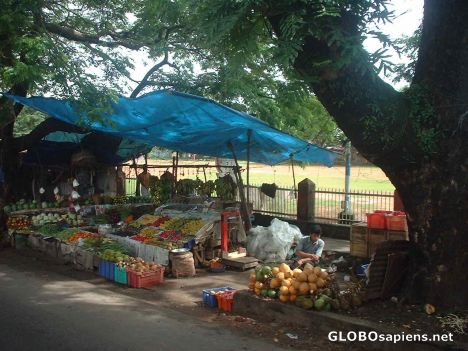 Postcard Fruit and Veg stall near Kochi