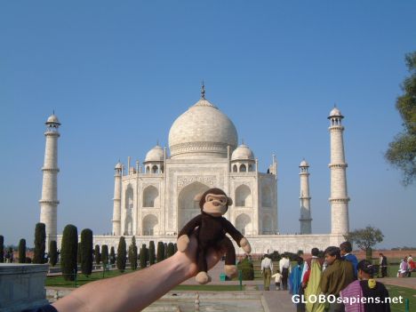 Postcard Cheeky MOnkey explores the Taj Mahal!