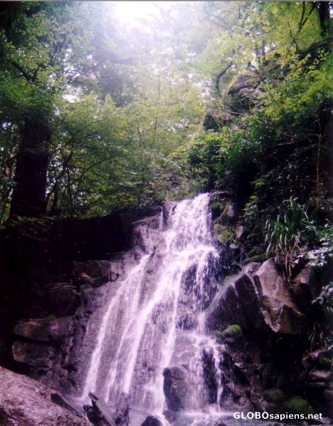 Postcard waterfall of 