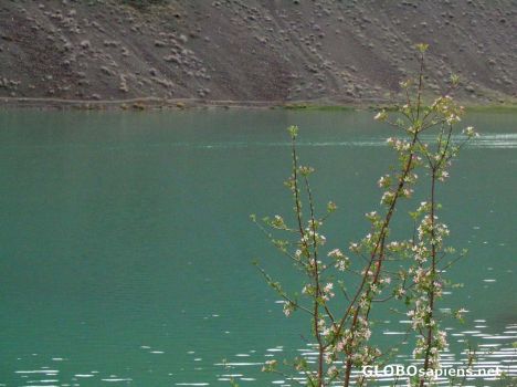 Postcard zaiand-e-rood river