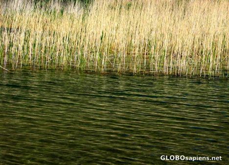 Postcard lake gahar
