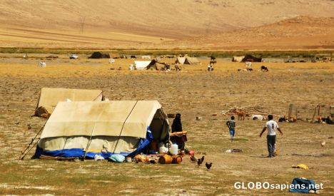 Postcard tent and desert