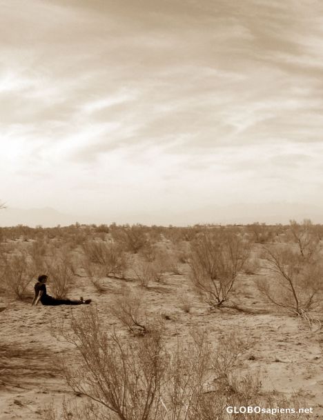 Postcard desert's lonliness