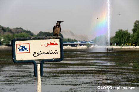 Postcard swimming? down at Esfahans river