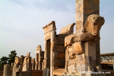 Postcard Persepolis - Horses