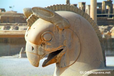 Postcard Persepolis - Close up of Griffin's Head