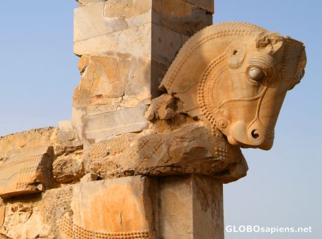Postcard Persepolis - Horse