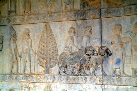 Postcard Persepolis - Delegation One