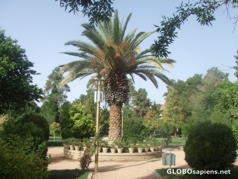Postcard Persian garden