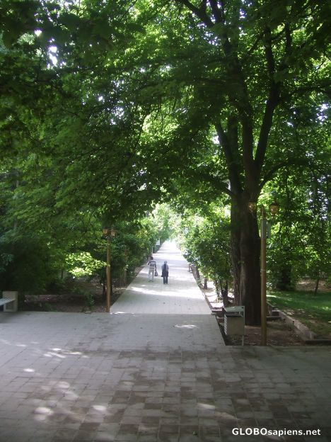 Postcard Iranian Garden