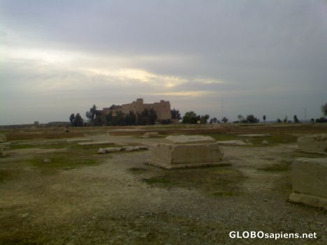 Postcard Achaemenid palace