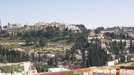 Postcard Mont Olives