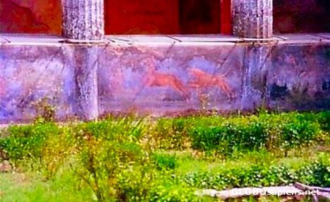 Postcard Pompeii 2