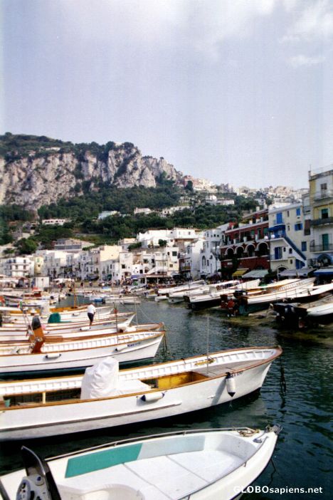 Postcard Capri harbor