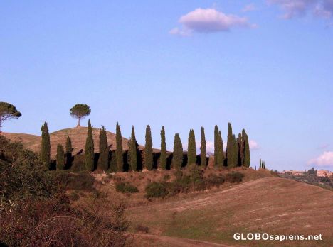 Postcard Tuscan landscape