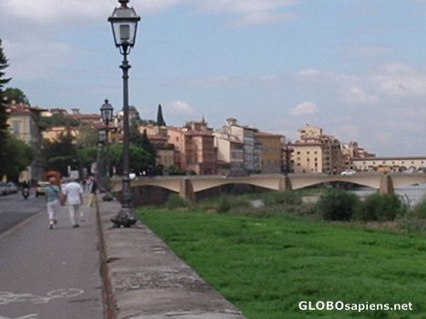 Postcard A street along the river in Firenze