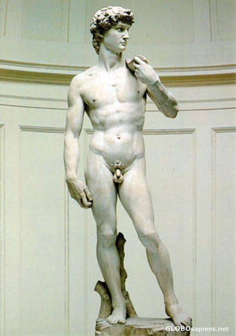 Postcard David by Michelangelo