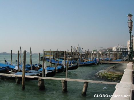 Postcard Boats of Venice