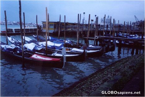 Postcard Gondolas covered in snow in Venice