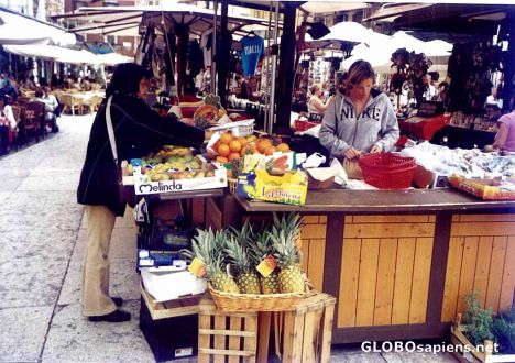Postcard Market on Piazza Erbe