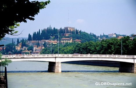 Postcard Bridge in Verona