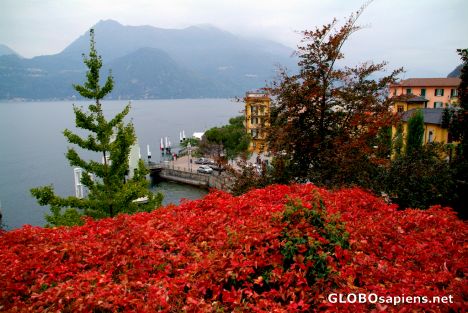 Postcard Varenna - colours of the autumn